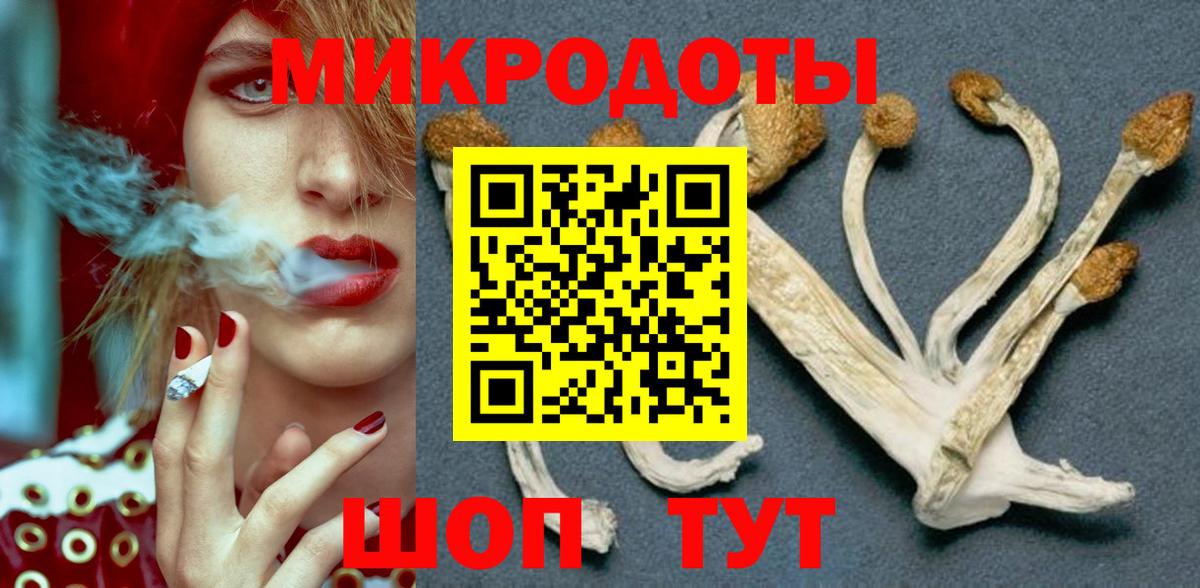 Галлюциногенные грибы прущие грибы  Псилоцибиновые грибы прущие грибы  Кимовск  Вход с VPN 